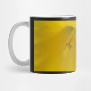 The softness of a daffodil Mug